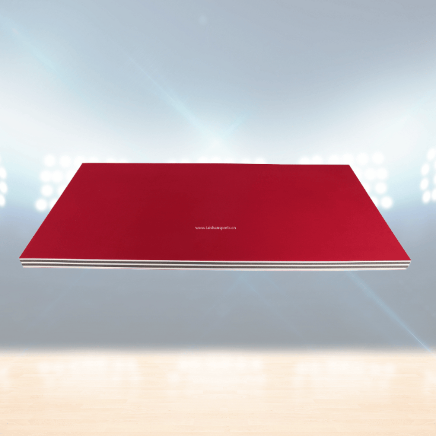 Tapis de lutte d'entraînement – Rhine Sports