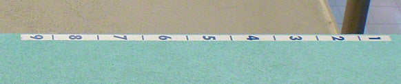 CalibrationStrip - Numbers 1-9 on Diving Board – Duraflex International