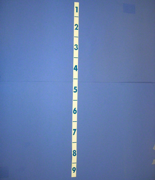 CalibrationStrip - Numbers 1-9 on Diving Board – Duraflex International