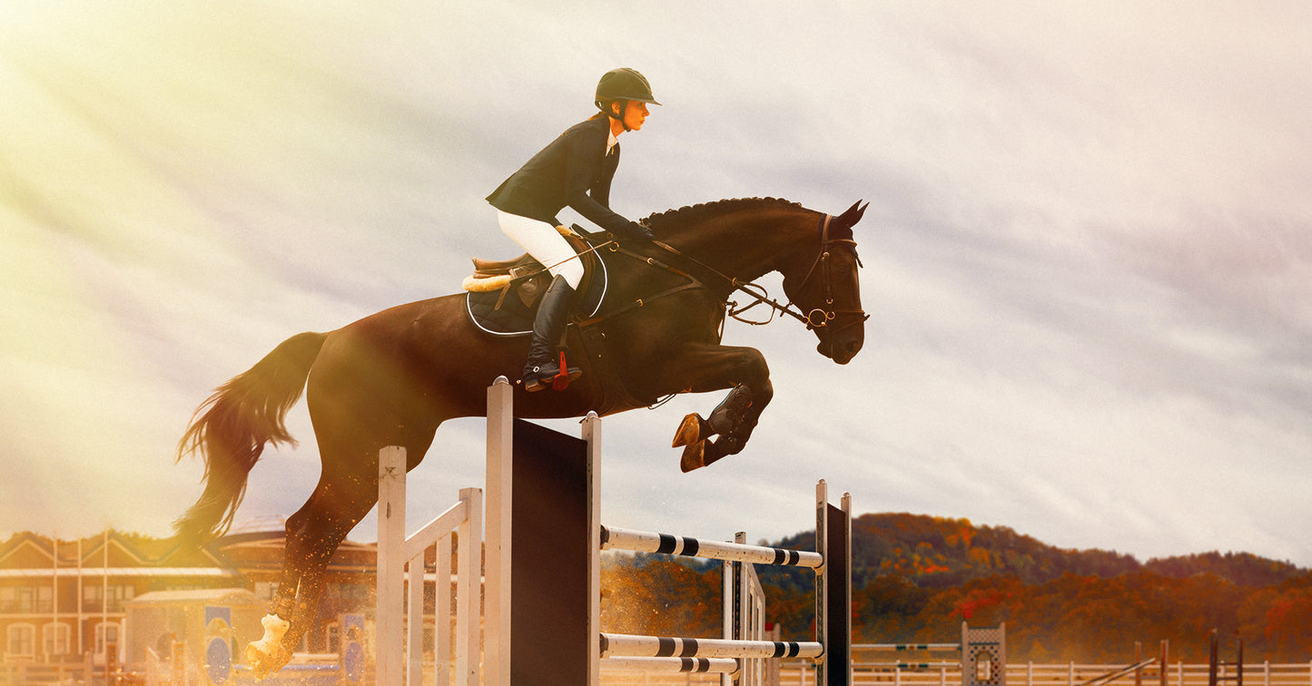 Equestrian Show Jumping Kits - Microgate