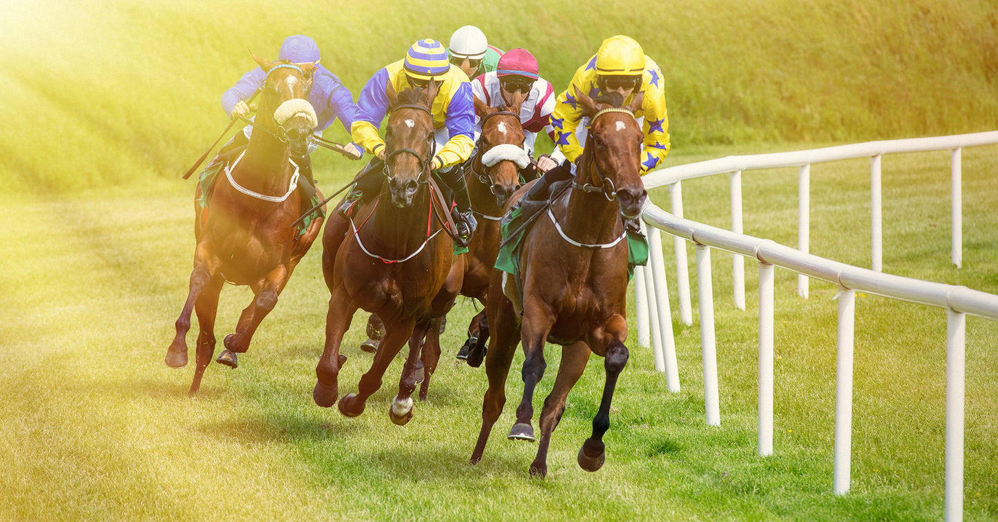 Horse Racing Time Keeping Kits - Microgate