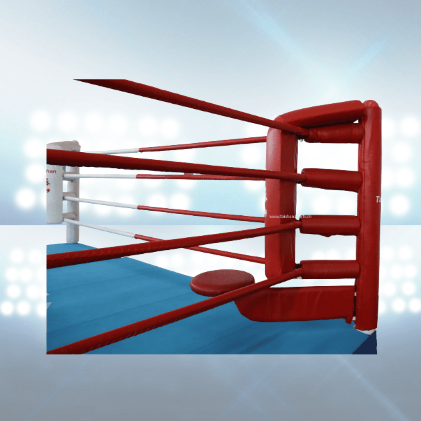 Ring de boxe autoporté d’entraînement – Rhine Sports