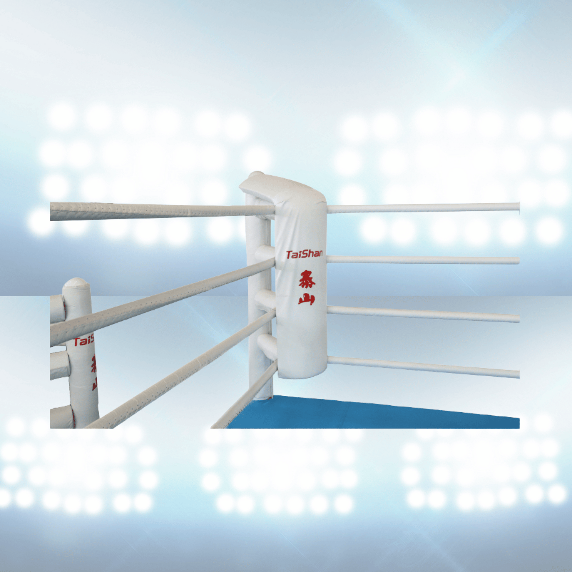 Ring de boxe autoporté d’entraînement – Rhine Sports