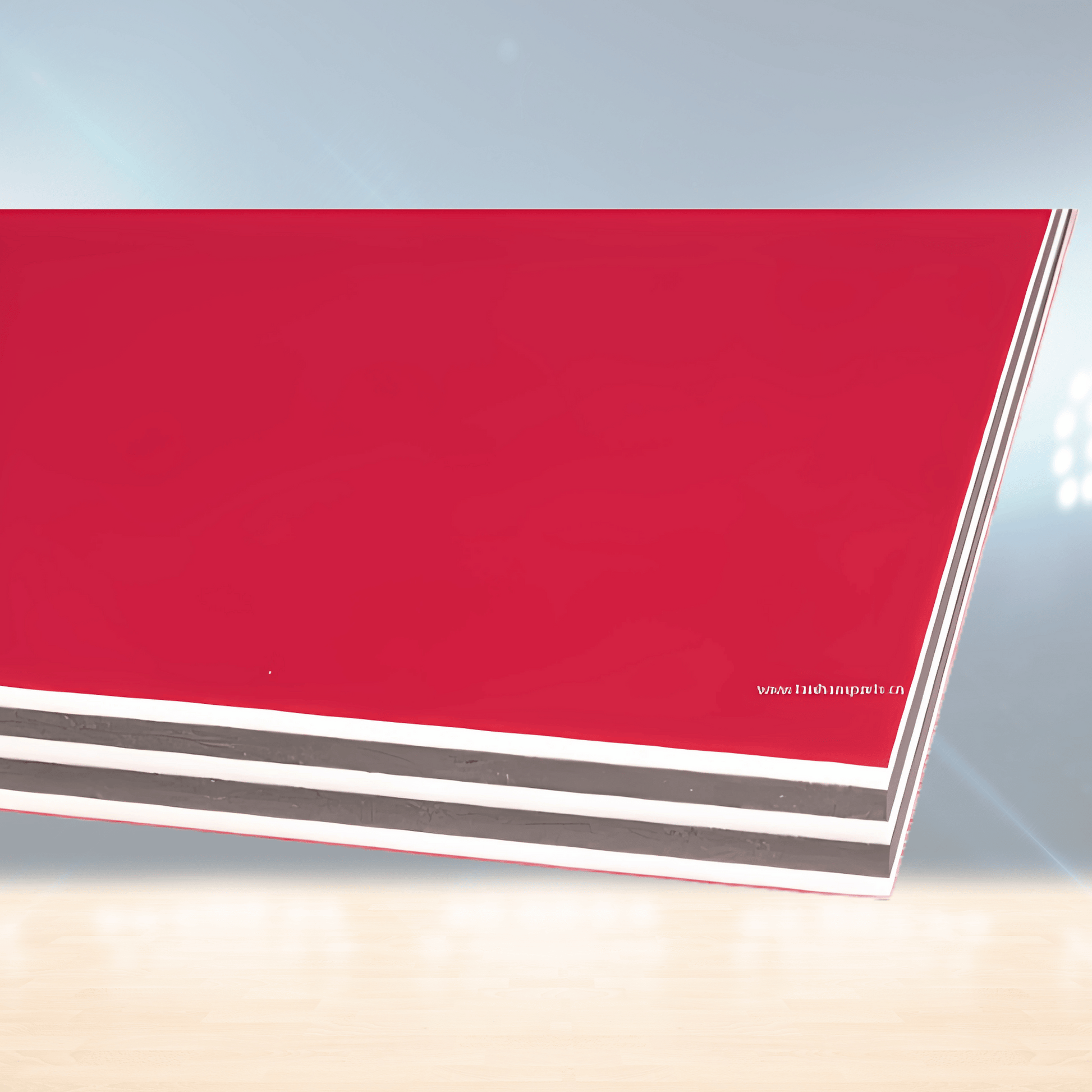 Tapis de lutte d'entraînement – Rhine Sports