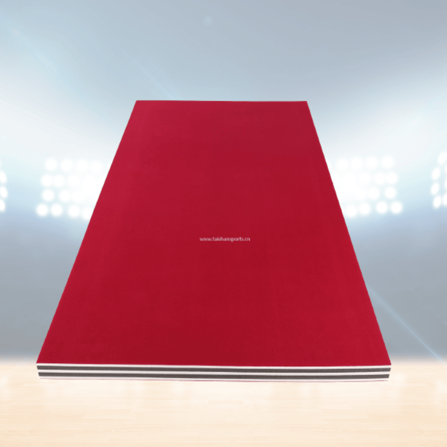 Tapis de lutte d'entraînement – Rhine Sports
