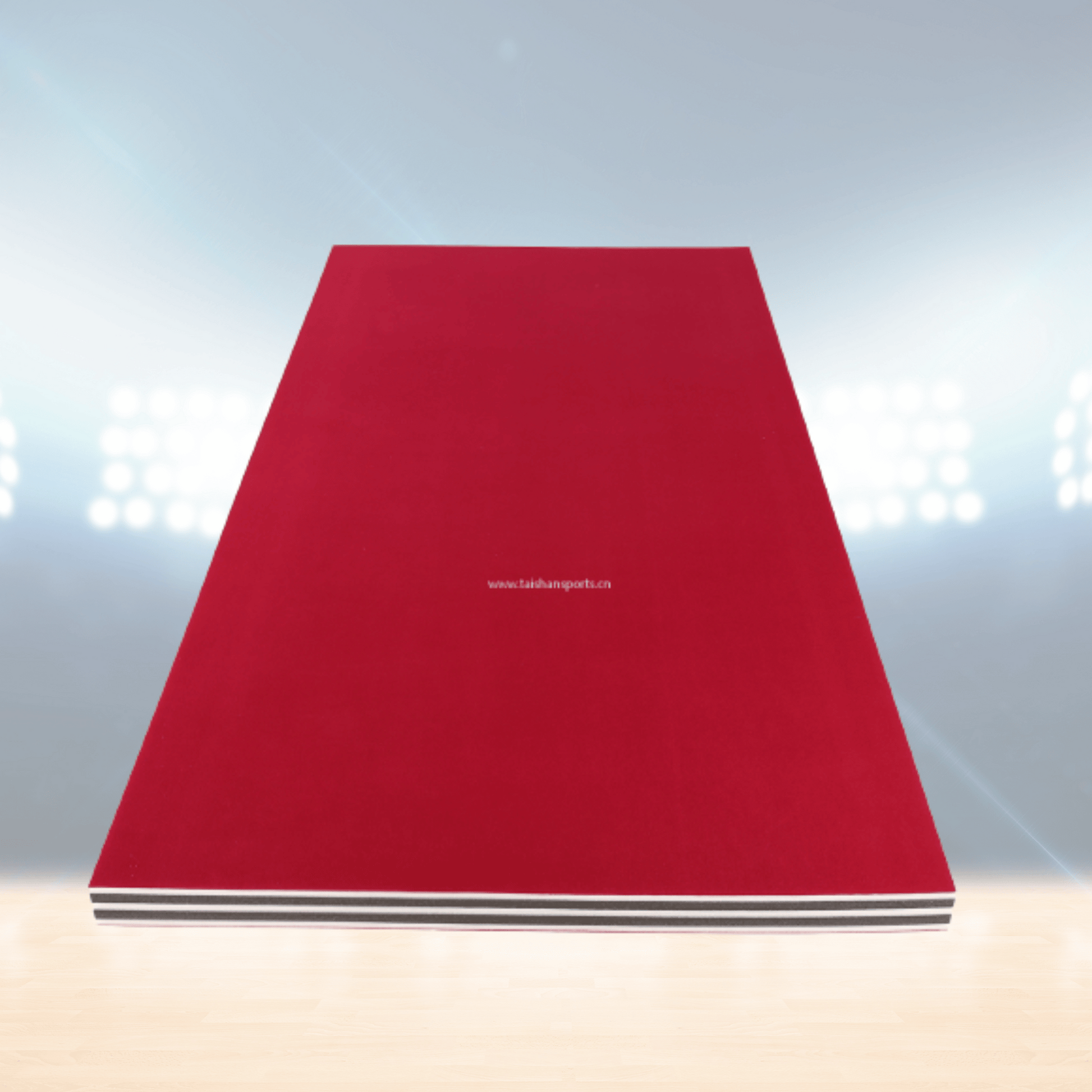 Tapis de lutte d'entraînement – Rhine Sports