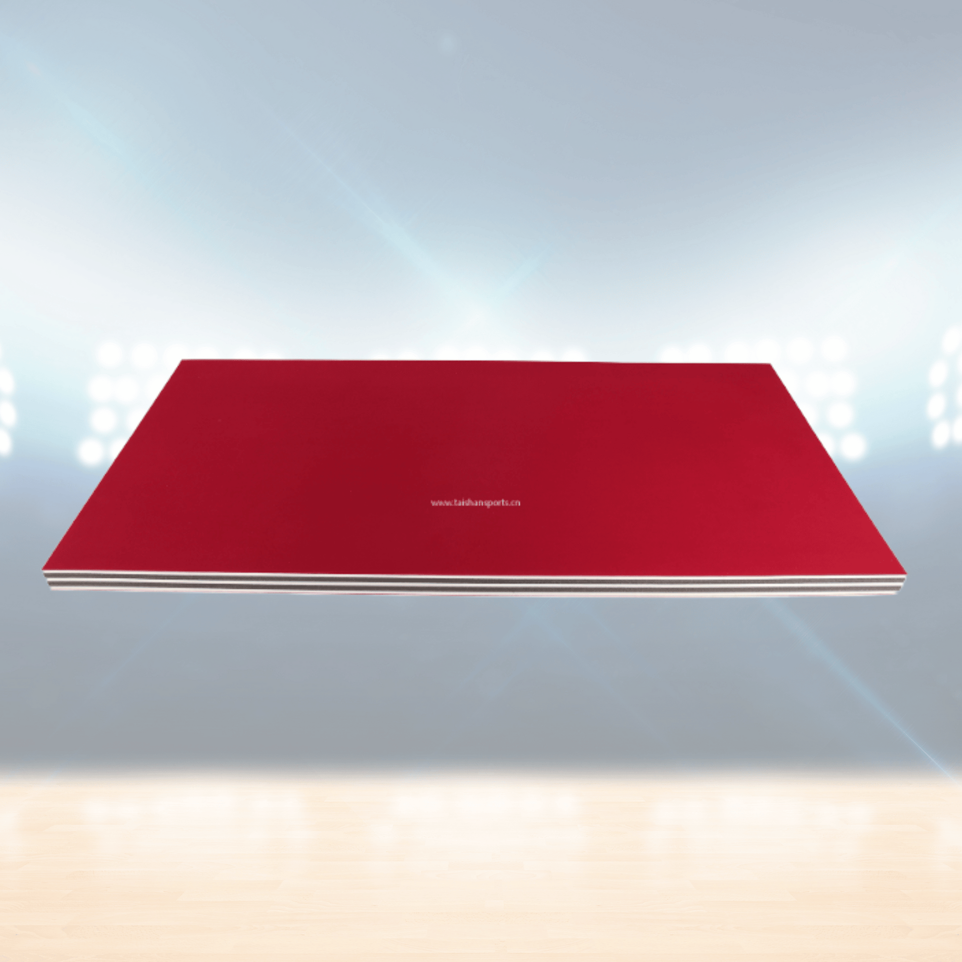 Tapis de lutte d'entraînement – Rhine Sports