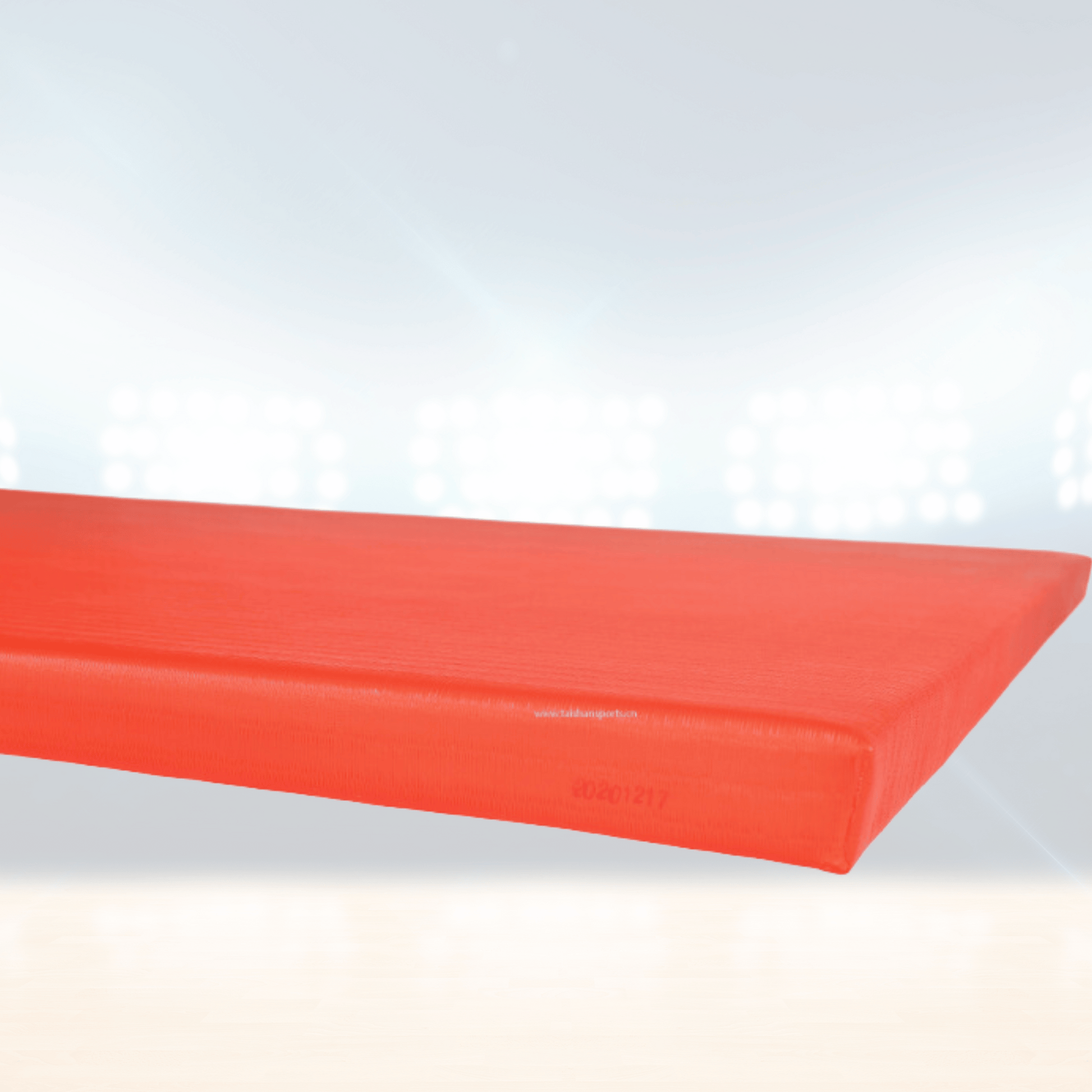 Tatami Judo de compétition certifié IJF 5 cm – Rhine Sports