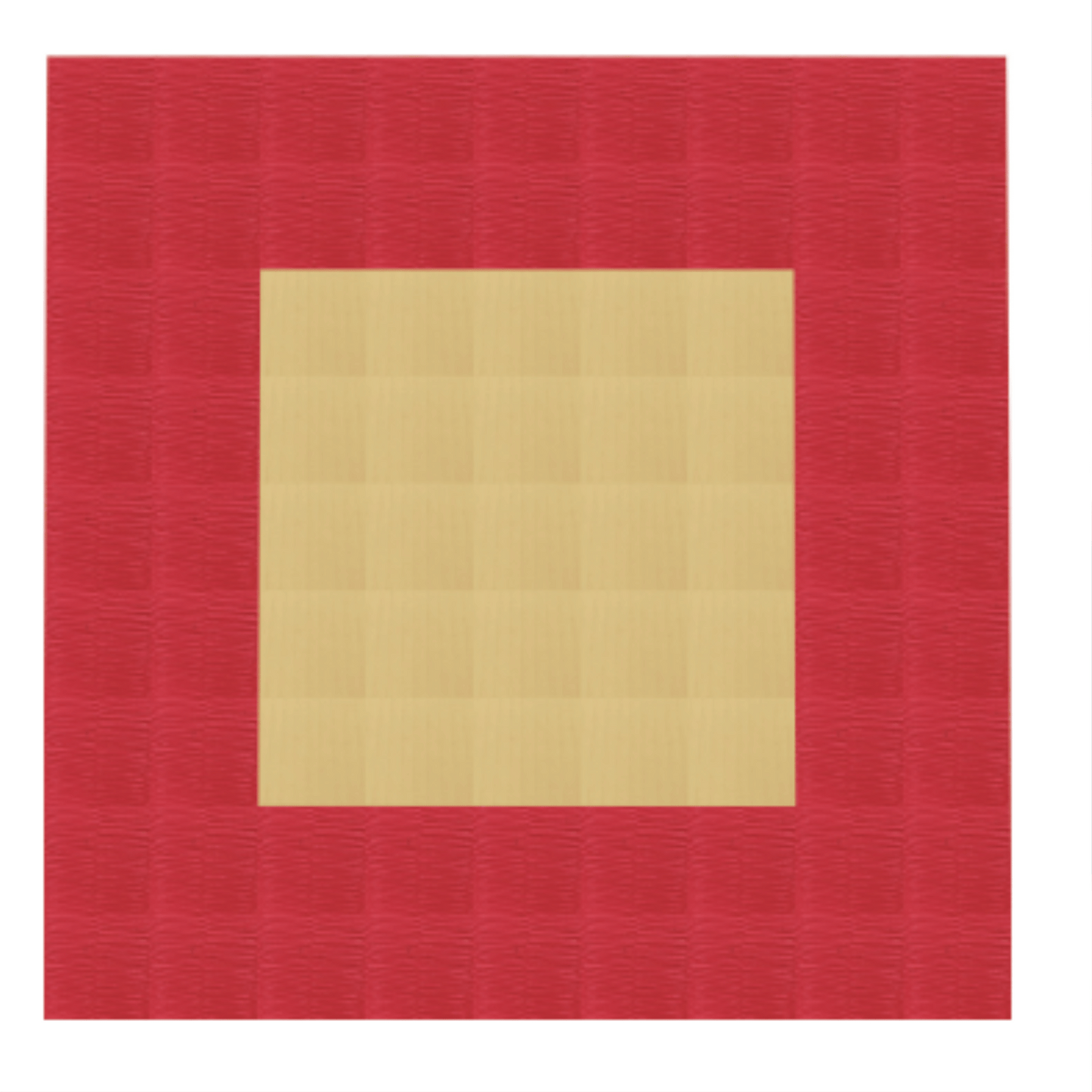 Tatami Judo de compétition certifié IJF 5 cm – Rhine Sports