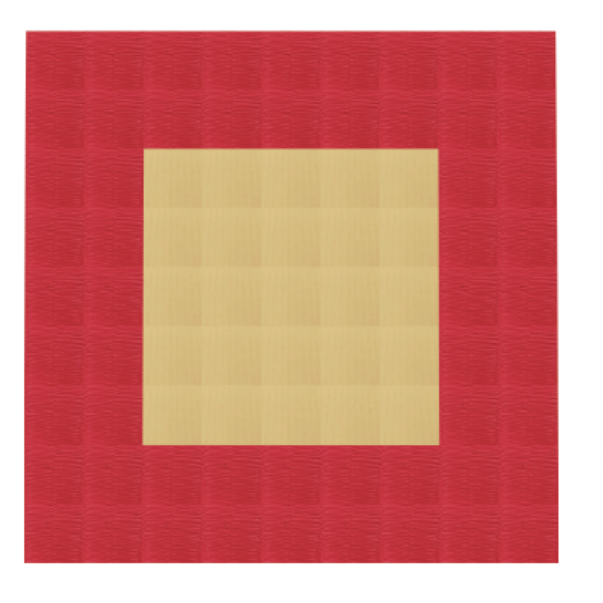 Tatami Judo de compétition certifié IJF 5 cm – Rhine Sports