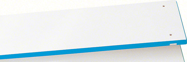 Olympian Aluminum 10 Foot Commercial Diving Board - Marine Blue With White Tread – SR Smith