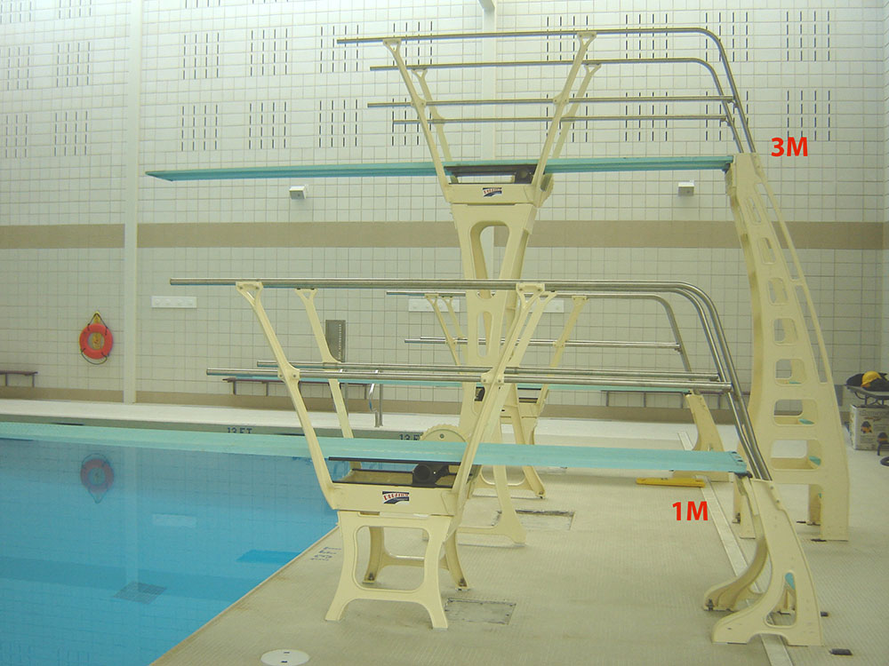 Duraflex 1 Meter Dive Stand with Double Rail (Both Sides) - No Anchors
